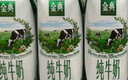 伊利【新鲜日期】金典纯牛奶整箱 250ml*16盒 3.6g乳蛋白 礼盒装 实拍图