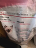 皇家幼猫猫粮 幼猫奶糕 K36 通用粮 4-12月 4.5KG 实拍图