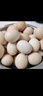 京喜加土鸡蛋 新鲜鸡蛋山林自养 生鲜溏心蛋 卤蛋早餐京东买菜40g正负5g 10枚装总重400g+ 实拍图