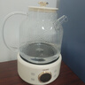 OIDIRE（偶点）全玻璃养生壶 花茶壶无胶水煮茶壶 煮茶器办公室恒温养生壶烧水壶电热水壶炖煮智能保温 1L ODI-HC01花茶养生壶【不带滤网】 实拍图