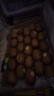 佳沛（zespri）新西兰  阳光金奇异果25-27粒原箱特大果单果约122-146g  猕猴桃 实拍图