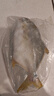 仙泉湖三去大白蕉海鲈鱼2斤/条净膛冷冻刺少肉厚海鲜水产生鲜食材 实拍图