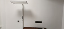 京东京造【国家补贴】长颈鹿2代立式护眼台灯学习灯全光谱普瑞灯珠大路灯 实拍图