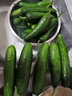 山东寿光水果黄瓜生吃脆新鲜荷兰青瓜当季无刺小黄瓜源头直发 精品水果黄瓜净重 4.5斤 实拍图