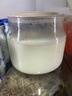 小熊（Bear）酸奶机 家用全自动希腊酸奶奶酪米酒机酸奶发酵菌玻璃内胆陶瓷分杯 SNJ-C10V3 实拍图
