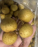 京鲜生 泰国进口龙眼 巨无霸金标净重3斤果径28mm以上 水果礼盒源头直发 实拍图