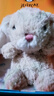 Jellycat米色甜美小兔小短腿公仔动物毛绒玩偶娃娃圣诞节生日礼物 甜美小兔 One Size 实拍图