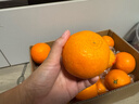 京鲜生 爱媛果冻橙 10斤装 单果150g起 生鲜水果桔子礼盒 实拍图