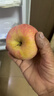 京鲜生 山东烟台红富士苹果净重9斤单果85mm+新鲜水果 源头直发包邮 实拍图