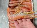 禧美海产 冷冻阿根廷红虾净重4斤/盒 L2规格 46-54只(大号)烧烤 海鲜水产 实拍图