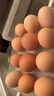 京鲜生柴鸡蛋30枚 3斤 无抗生素 谷物喂养鲜鸡蛋 源头直发 实拍图
