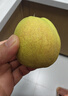 京鲜生 新疆库尔勒香梨 净重8斤 单果100-120g 生鲜水果 礼盒装 实拍图