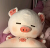 名创优品（MINISO）小猪B-BO弹力超柔趴姿毛绒公仔玩偶抱枕儿童玩具送女友生日礼物女 实拍图