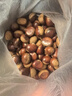 【东东农场专供】25年丹东新板栗生板栗炒菜专用新鲜蔬菜生鲜 25年新货 5斤 送栗爪 实拍图