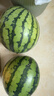 京鲜生 麒麟西瓜 1粒装 单果5-7斤 生鲜水果 实拍图