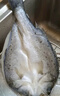 一虾一世界 三去开背海鲈鱼/河鲈鱼（去鳞去腮去内脏）新鲜冷冻 年货年夜饭 海鲈400-450g/条【拍4件划算】 实拍图