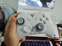 飞智冰原狼4多模版无线游戏手柄 类xbox 力调节摇杆双切扳机 switch电脑PC手机steam体感NS 丝之歌 实拍图