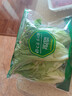 钟灵山罗马生菜400g 实拍图