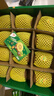 佳沛（zespri）绿奇异果 优选大果12粒单果约113-135g  水果 猕猴桃 实拍图