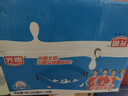 光明纯牛奶250mL*16盒 家庭量贩装浓醇营养早餐伴侣送礼 实拍图