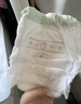 babycare金山茶花拉拉裤XXXXL26片(＞19kg)婴儿尿不湿超薄透气轻柔花苞裤 实拍图