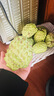 鲜福林云南牛奶凤梨释迦果新鲜应季水果超甜糯番荔枝 3斤净重单果150g+（新鲜直发） 实拍图