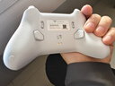 飞智冰原狼4多模版无线游戏手柄 类xbox 力调节摇杆双切扳机 switch电脑PC手机steam体感NS 丝之歌 实拍图