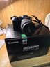 佳能（Canon）EOS RP 全画幅微单数码相机 24-105标准镜头套装 （约2620万像素/轻巧便携） 实拍图