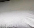 水星家纺枕头枕芯酒店枕头护颈枕头芯家用单个纯棉抗菌可水洗中枕48x74cm 实拍图