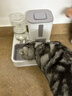 甜浪海自动喂食器猫碗猫咪饮水机狗狗吃饭喝水大容量投食器宠物粮食盆 实拍图