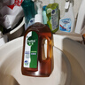 滴露（Dettol）消毒液洗衣衣物消毒水750mL除螨 家居地板杀菌 灭杀甲流感 非84 实拍图