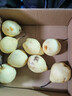 京喜加赵州水晶鸭梨新鲜水果产地直发【六】单果180g起 带箱4斤特惠装（净重3.5斤） 实拍图