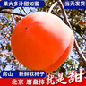 京逸顺丰北京特大磨盘柿子10斤新鲜软柿子盆柿冻柿脆柿房山大柿子水果 10斤特大果【单果约6-7两】 实拍图