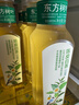 农夫山泉 东方树叶绿茶500ml*15瓶无糖茶饮料0糖0脂0卡整箱装解渴饮品 实拍图