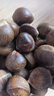 【25年新下树】大别山新鲜板栗老树板栗带壳板栗可生吃水果糖炒 精品鲜板栗 1斤 （约30-35粒） 实拍图