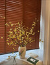 花翁鲜切花干枝年宵花卉水培植物 精选A级腊梅枝60cm5枝源头直发 实拍图