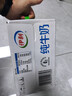 伊利【新鲜日期】纯牛奶250ml*21盒 全脂牛奶 优质乳蛋白 礼盒装 实拍图
