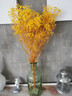 匠心绽放满天星花束天然干花永生花插花客厅高级家居软装饰摆件黄色20275 实拍图