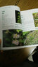 园林植物图鉴丛书：芳香植物 实拍图