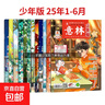 意林少年版杂志2025年24年1-12月全年24本 小升初 初中小学课外阅读励志作文提高阅读理解 【现货】少年版25年1-6月 共12本 晒单实拍图