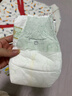 babycare金山茶花拉拉裤XL34片(12-17kg)婴儿尿不湿超薄透气新生柔花苞裤 实拍图