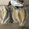 黄小渔宁德黄鱼鲞400g/2条 三去大黄鱼黄花鱼生鲜 海鲜水产烧烤年货送礼 实拍图