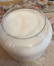 OIDIRE 酸奶机 家用全自动酸奶发酵机纳豆机米酒机泡菜机小型智能恒温发酵机玻璃内胆+玻璃分杯 ODI-SA23 实拍图