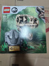 乐高（LEGO）积木拼装侏罗纪世界76964 霸王龙头骨男孩女孩儿童玩具圣诞礼物 实拍图