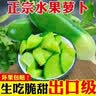 京硕果山东潍坊水果萝卜甜脆水果型潍县沙窝萝卜新鲜青萝卜 9斤 实拍图