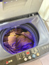 志高（CHIGO）全自动洗衣机 波轮宿舍迷你小型家用 洗烘一体 智能洗脱一体机 大容量 风干 【6.5Kg实惠款-智能风干-强力去污】 实拍图