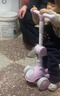 贝趣儿童滑板车1-3-6-12岁宝宝可坐滑滑车幼儿男孩女孩小孩踏板车 三合一粉丨悍马轮+灯光音乐+推杆 防侧翻2岁儿童车六一儿童节礼物 实拍图