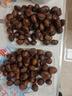 丹东板栗新鲜当季东北特产野生锥栗大果甜糯毛栗子现摘整箱包邮 单果22mm+ 5斤 实拍图