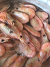 禧美海产 头籽北极甜虾2斤/盒 90/120 头籽率参考95%  爱沙尼亚甜虾 实拍图