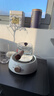 苏泊尔（SUPOR）迷你电陶炉煮茶器煮茶炉煮茶壶养生围炉煮茶茶艺炉泡茶家用办公老白茶黑茶花茶不挑器具SW-DTL01 实拍图